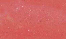 44680_肌理油彩_壁涂料