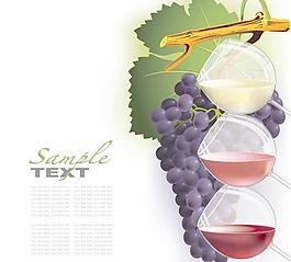 葡萄與葡萄酒矢量素材1