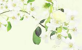 12278_墻面_墻繪