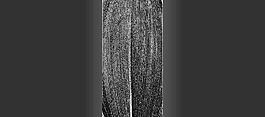 59700_肌理油彩_生物理