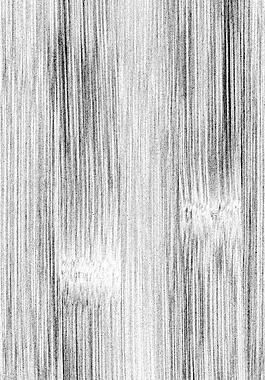 59804_肌理油彩_生物理