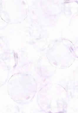 40174_图案纹理_花纹