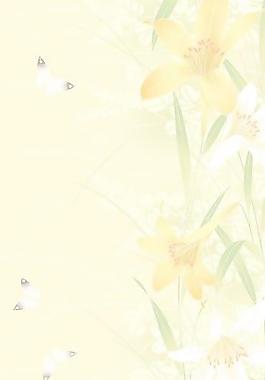 40221_圖案紋理_花紋