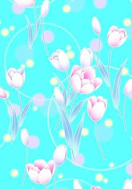 40224_图案纹理_花纹