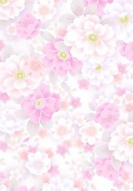 40234_圖案紋理_花紋