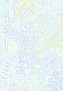 40268_图案纹理_花纹