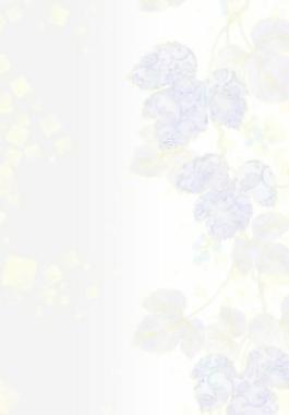 40341_圖案紋理_花紋