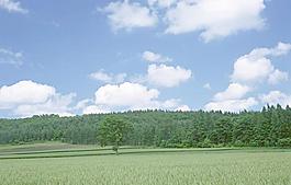 13970_風(fēng)景_天空