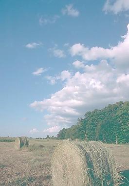 15462_風(fēng)景_天空