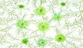 64847_肌理油彩_生物理