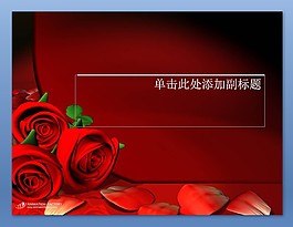 紅玫瑰愛情PPT背景圖片