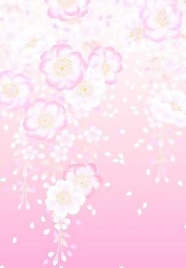 40473_圖案紋理_花紋