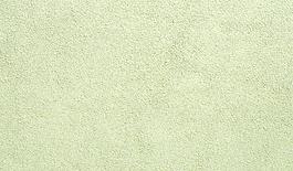 65012_肌理油彩_生物理