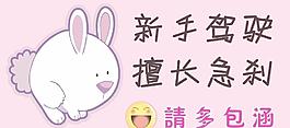 新手車貼