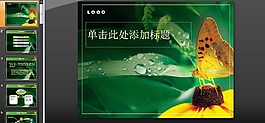 高清蝶戀花PPT模板