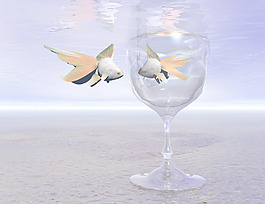 魚