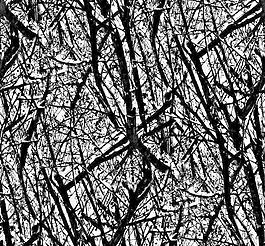 30477_自然材質_冰雪