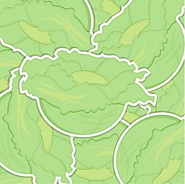 矢量格式的生菜背景/卡