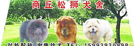 松狮 犬舍