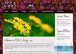 漂亮的花色背景二欄css3博客模板