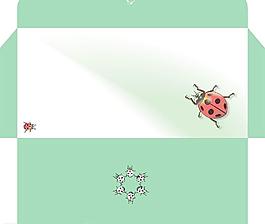 瓢虫信封