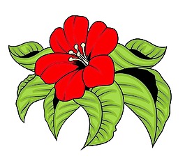 紅色的花和葉子矢量