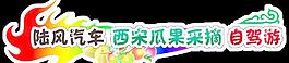 自驾游 车贴