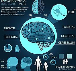 醫(yī)療信息圖表圖片