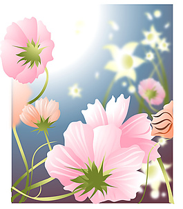 花紋花邊插畫