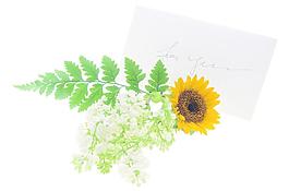 美麗的花