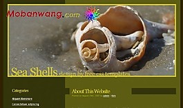 貝殼主題BLOG網(wǎng)頁模板