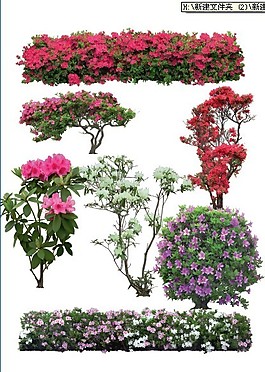 pad花素材