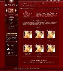 韓國網(wǎng)站模版
