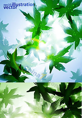 唯美楓葉矢量素材圖