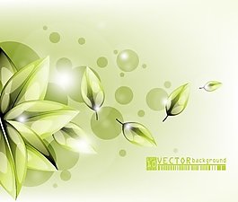 唯美花朵矢量圖