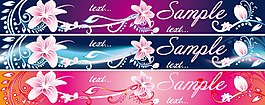 百合花主題banner矢量素材