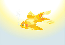 孤單的金魚(yú)