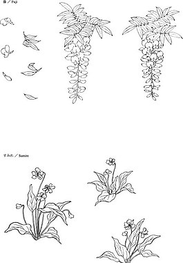 花卉白描