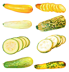 瓜果蔬菜