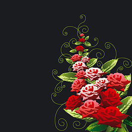 精致玫瑰花