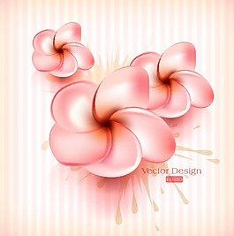 粉色玫瑰花朵