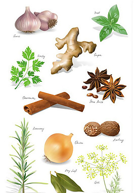 矢量素材烹飪調料