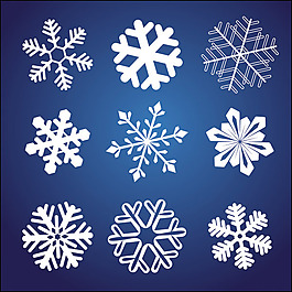 矢量素材各式各樣的漂亮雪花圖案