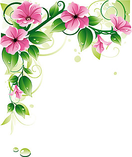 矢量水滴鲜花背景