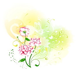 矢量精美線描花卉背景