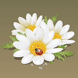 精美鮮花背景素材矢量圖