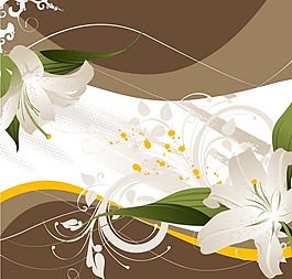 矢量素材精美花朵花紋