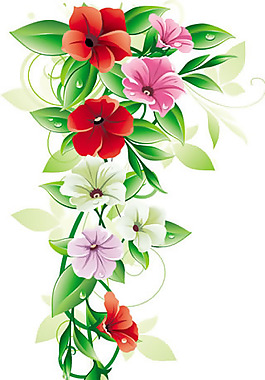精美鮮花矢量圖