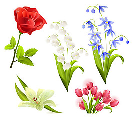漂亮的花卉矢量圖