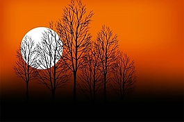 精美日落風(fēng)景矢量素材